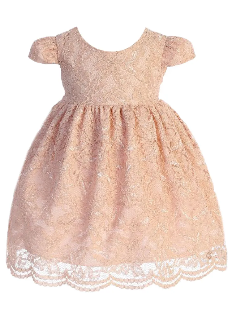 Baby Girls Blush Lace V Back Bow Flower Girl Dress 3-24 Months