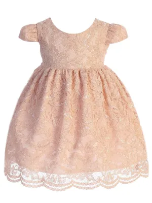 Baby Girls Blush Lace V Back Bow Flower Girl Dress 3-24 Months