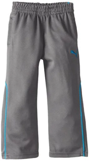 Puma Toddlers Training Pant 2 Lounge Pants Sweatpants - Quiet Shade